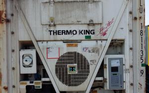 Reefer container Thermo King 40 ft 2003 model CRLU181135-9