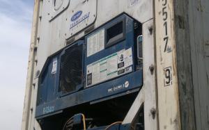 Reefer container Сarrier 40 feet 2001 Odessa reeferc49