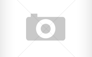 CRANKSHAFT W/O GEAR
