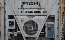 Рефрижераторний контейнер Thermo King 40 фут 2003 року випуску AMCU922241-8